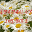 День семьи, любви и верности! - Центр соцобслуживания населения